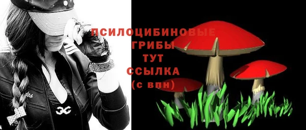 скорость Богородицк
