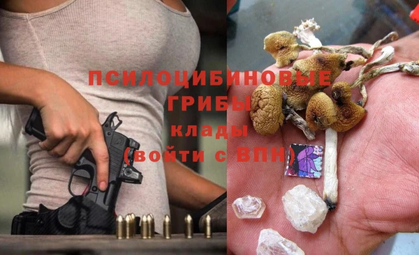МДПВ Богданович