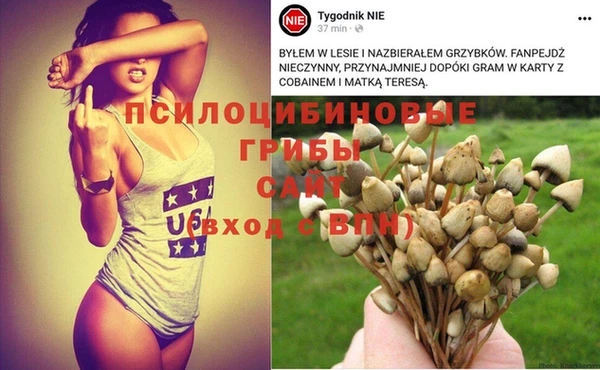 прущие крисы Козельск