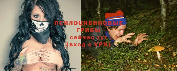 скорость Богородицк