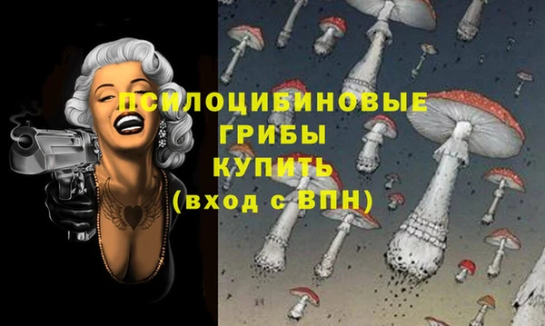 скорость Богородицк