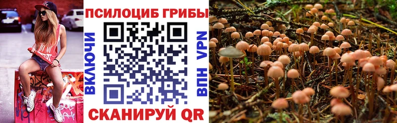 площадка Telegram  купить наркотики цена  Верея  Псилоцибиновые грибы ЛСД 